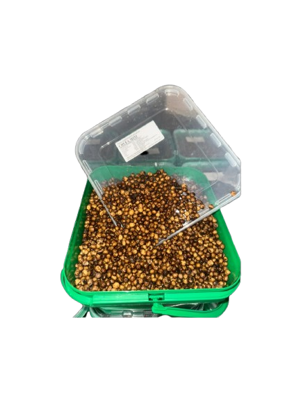 Tigernuts Quality Seeds mini 5kg