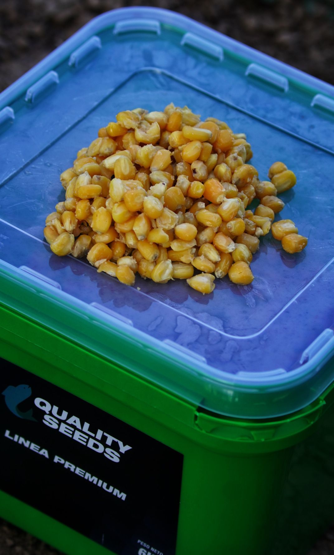 Balde de Milho Quality Seeds Amarelo 6kg