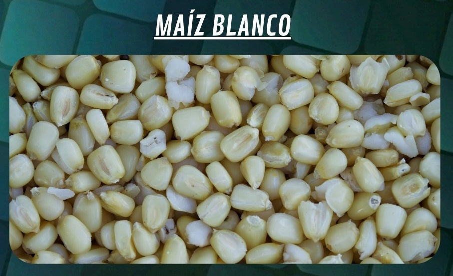 Balde de Milho Quality Seeds Branco 6kg
