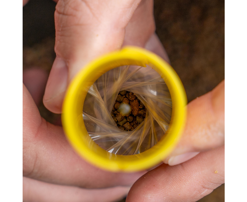 Sistema de fabricação de sacolas pva Avid Carp