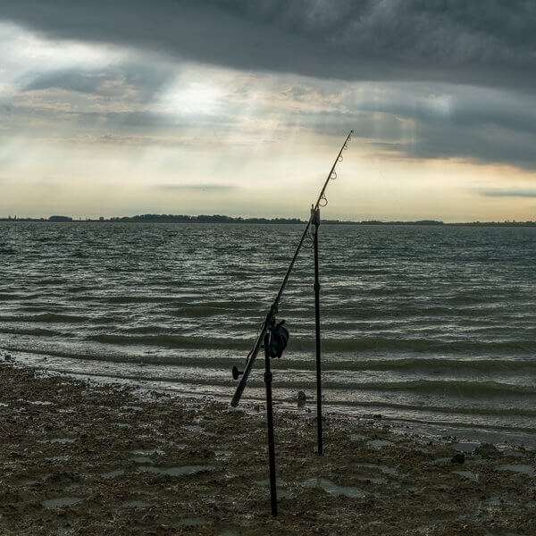 Caña Nash Scope Black OPS 10 pies 3 lb - Tienda Carpfishing