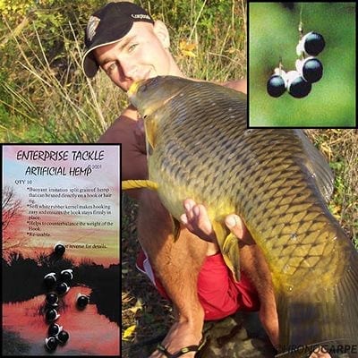 canamon enterprise 2