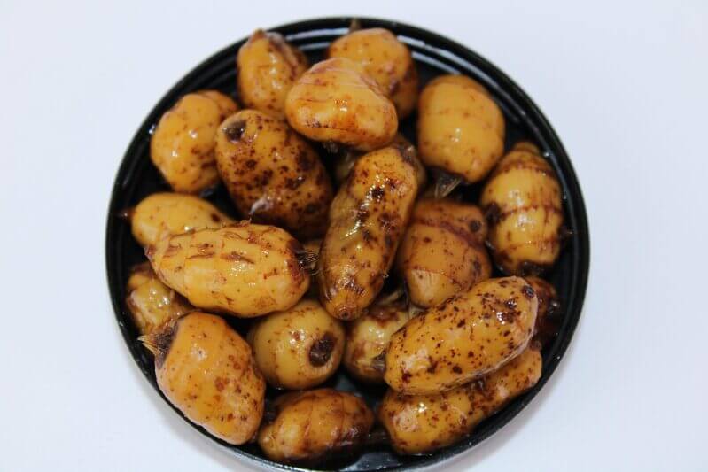 Chufas XXL Pro Elite Baits Gold Robin Red 2