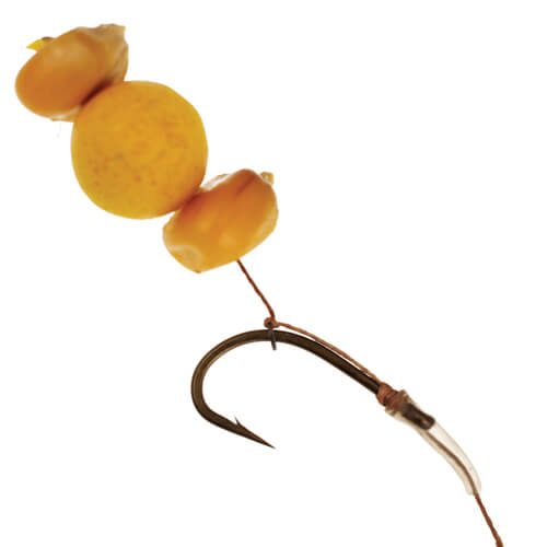 Line Aligner Gardner verde 4