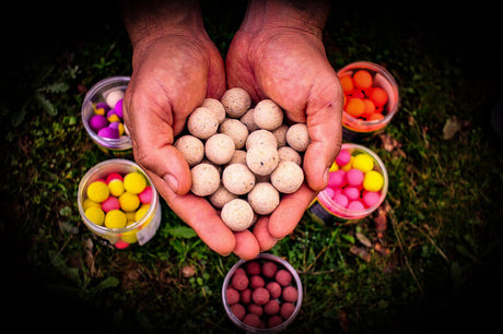 Pop ups Pro Elite Baits Garlic 14 20 mm 1