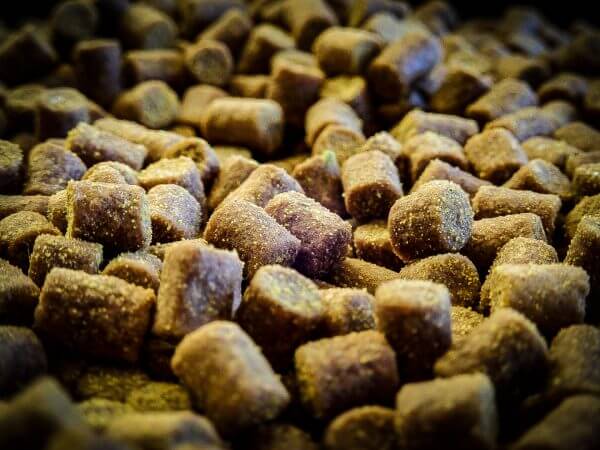 Session Pack Sweet Dreams Gold Pro Elite Baits 2