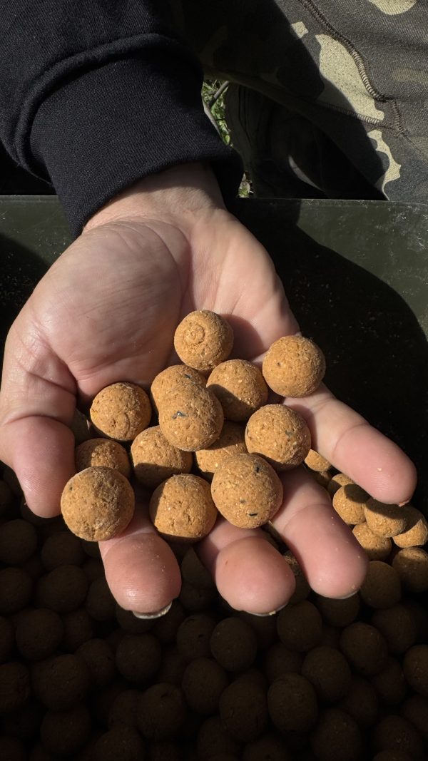 Boilies Solúveis Pro Elite Baits Melon & Peach 20 mm 3,5 Kg