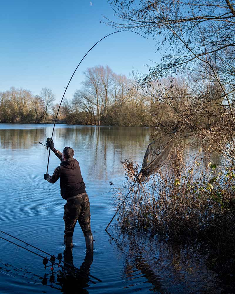 Cañas Fox EOS-X 12 pies 3,5 lb - Tienda Carpfishing