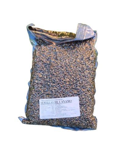 Cânhamo Quality Seeds