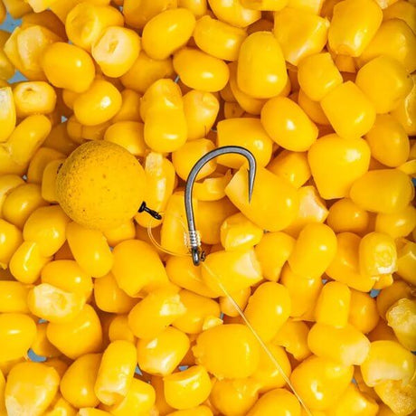 Anzuelos Nash Continental - Tienda Carpfishing