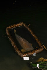 Cuna inflable Solar SP C - Tech - Tienda Carpfishing