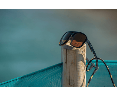 Gafas de sol polarizadas Avid Carp Classic - Tienda Carpfishing