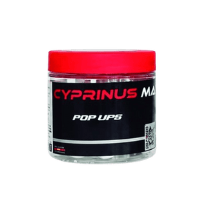 Pop Up Trybion Cyprinus Max 15 mm - Tienda Carpfishing