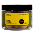 Pop ups Avid Carp Premium Creamy Scopex 14 mm - Tienda Carpfishing