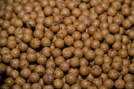 Boilies Dynamite Baits Monster 20 mm 1