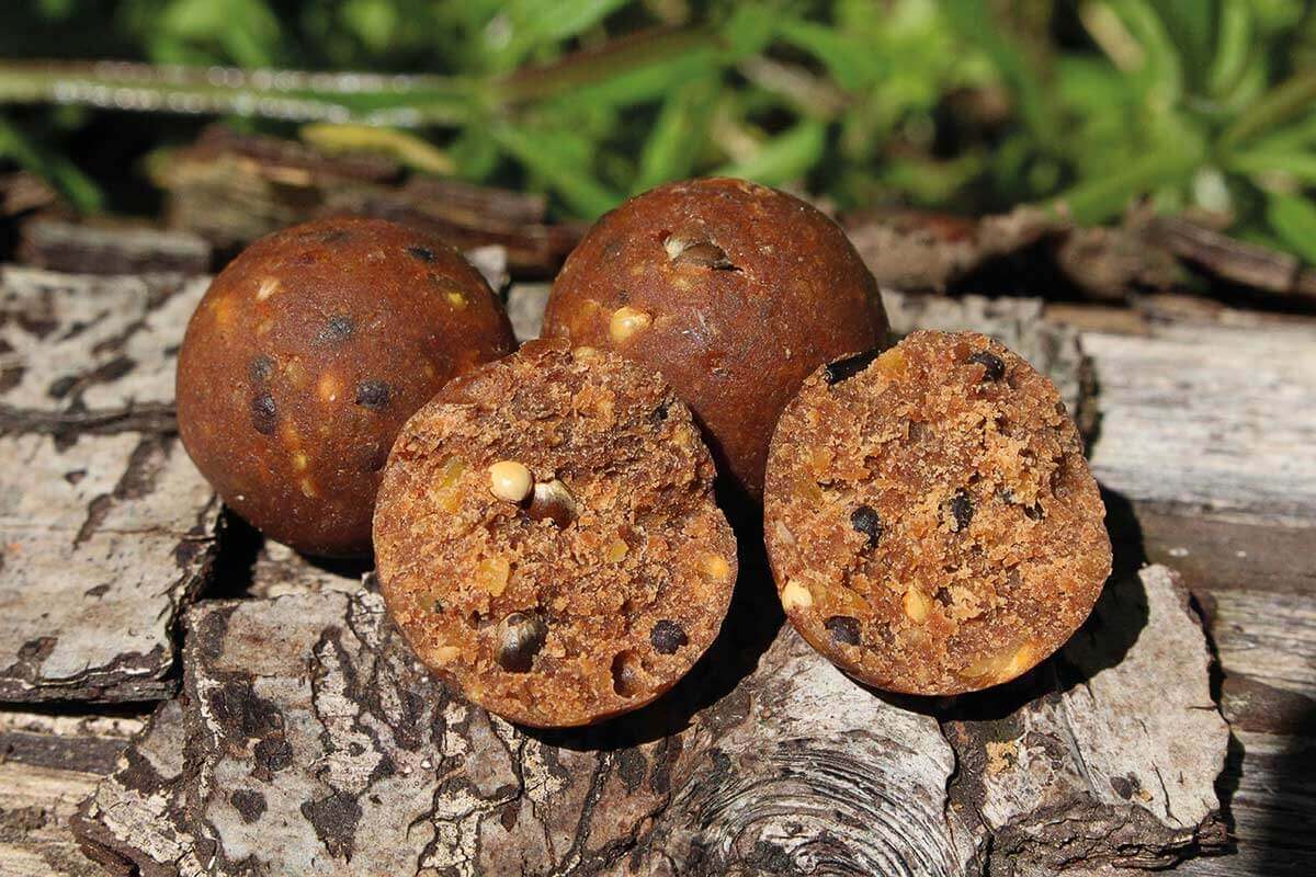 Boilies Dynamite Baits Complex - T 20 mm - Tienda Carpfishing