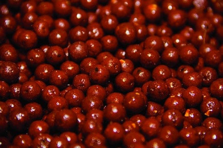 Boilies Dynamite Baits Source 12 mm - Tienda Carpfishing