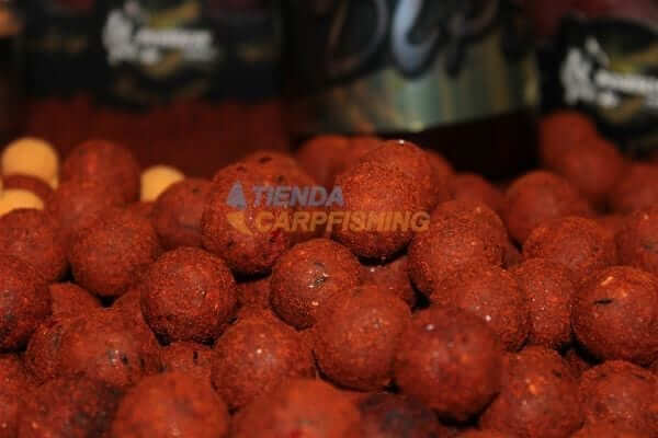 Boilies Pro Elite Baits Gold Robin Red 20 mm - Tienda Carpfishing