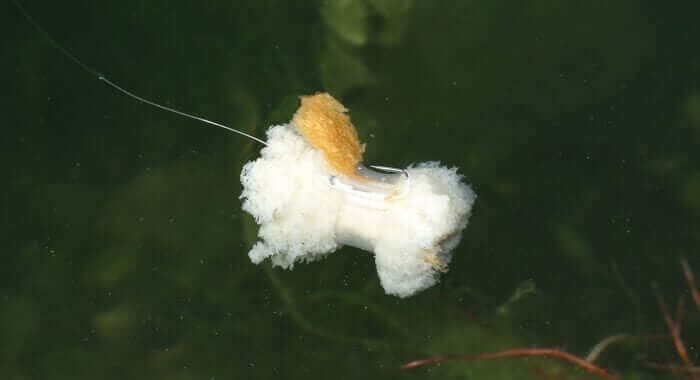 Bread Bomb Nash - Tienda Carpfishing