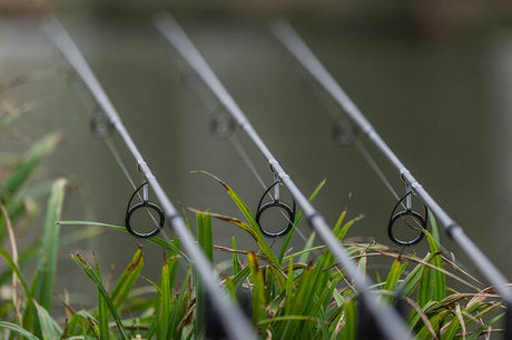 Caña Fox Explorer TI 8 - 10 pies 3,5 Ib - Tienda Carpfishing