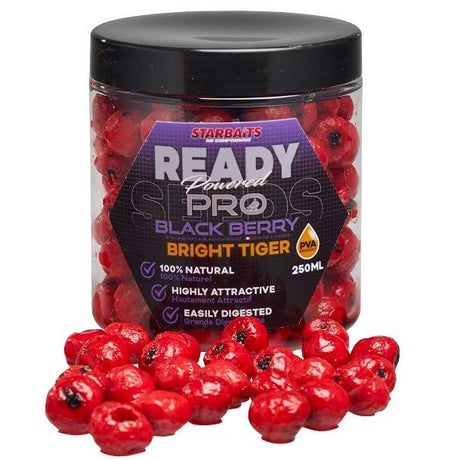 Chufas Starbaits Probiotic Blackberry - Tienda Carpfishing