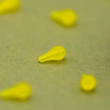 Hook Bead OMC Dazzlers Cornello Distance S - Tienda Carpfishing