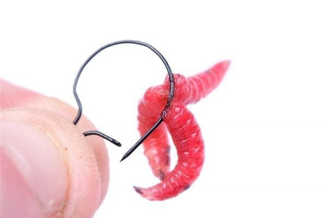Maggot clips Pequeño Nash - Tienda Carpfishing