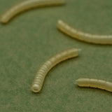 Magoliner Curve OMC Dazzlers L - Tienda Carpfishing