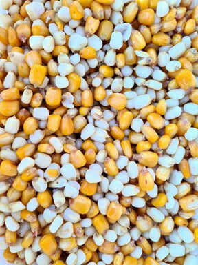 Mix Maíz Particles For Fishing 1 kg - Tienda Carpfishing