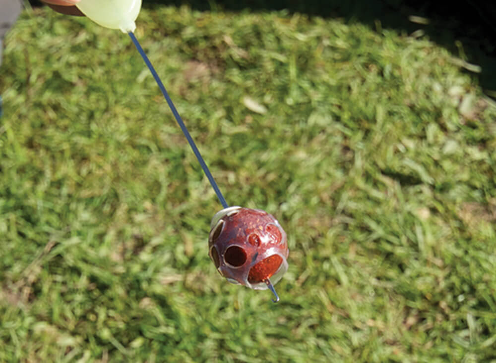 Shrink Wrap Boilie Guard Carp Spirit - Tienda Carpfishing