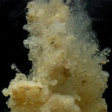 Stick Mix Sticky Manilla 2,5 Kg - Tienda Carpfishing